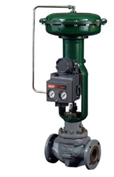 Control Valves, Actuators and Positioners